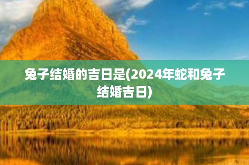 兔子结婚的吉日是(2024年蛇和兔子结婚吉日)第1张-八字查询