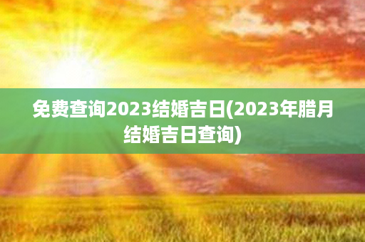 免费查询2023结婚吉日(2023年腊月结婚吉日查询)第1张-八字查询