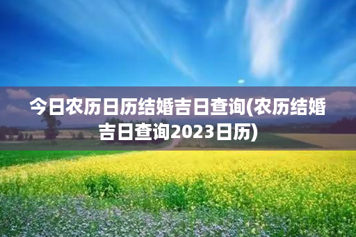 今日农历日历结婚吉日查询(农历结婚吉日查询2023日历)第1张-八字查询