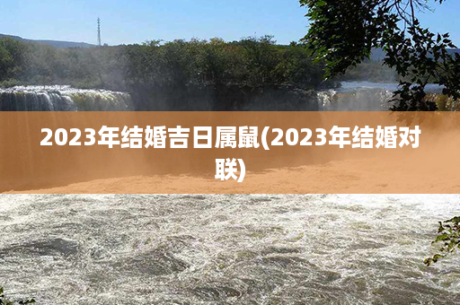 2023年结婚吉日属鼠(2023年结婚对联)第1张-八字查询