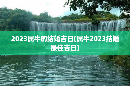 2023属牛的结婚吉日(属牛2023结婚最佳吉日)第1张-八字查询