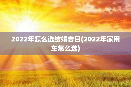 2022年怎么选结婚吉日(2022年家用车怎么选)第1张-八字查询