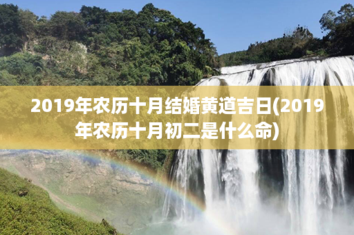 2019年农历十月结婚黄道吉日(2019年农历十月初二是什么命)第1张-八字查询