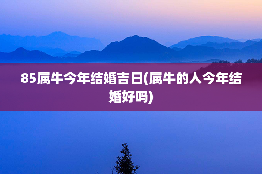 85属牛今年结婚吉日(属牛的人今年结婚好吗)第1张-八字查询