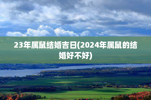 23年属鼠结婚吉日(2024年属鼠的结婚好不好)第1张-八字查询