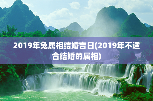 2019年兔属相结婚吉日(2019年不适合结婚的属相)第1张-八字查询