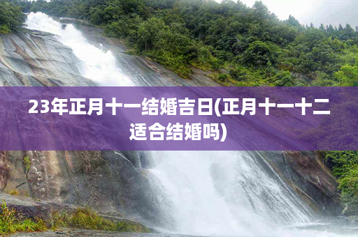 23年正月十一结婚吉日(正月十一十二适合结婚吗)第1张-八字查询