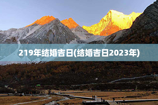 219年结婚吉日(结婚吉日2023年)第1张-八字查询