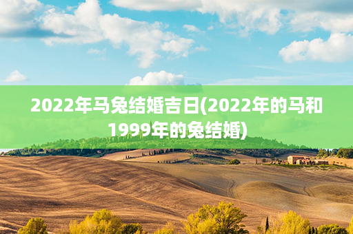 2022年马兔结婚吉日(2022年的马和1999年的兔结婚)第1张-八字查询