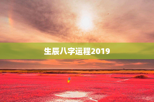 生辰八字运程2019第1张-八字查询