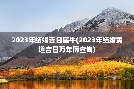 2023年结婚吉日属牛(2023年结婚黄道吉日万年历查询)第1张-八字查询