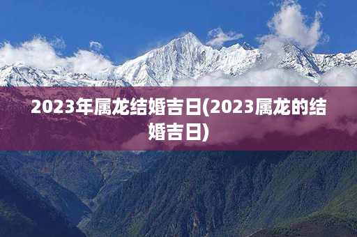 2023年属龙结婚吉日(2023属龙的结婚吉日)第1张-八字查询