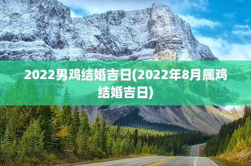 2022男鸡结婚吉日(2022年8月属鸡结婚吉日)第1张-八字查询