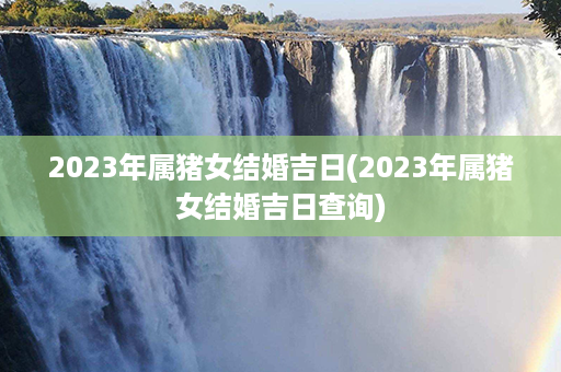 2023年属猪女结婚吉日(2023年属猪女结婚吉日查询)第1张-八字查询