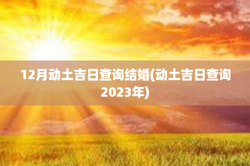 12月动土吉日查询结婚(动土吉日查询2023年)第1张-八字查询