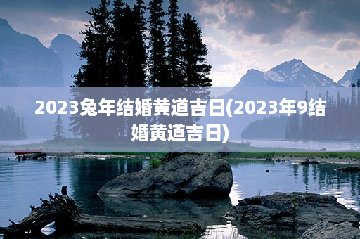 2023兔年结婚黄道吉日(2023年9结婚黄道吉日)第1张-八字查询