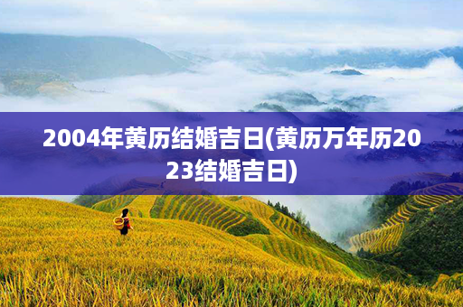 2004年黄历结婚吉日(黄历万年历2023结婚吉日)第1张-八字查询