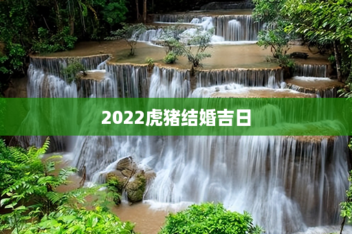 2022虎猪结婚吉日第1张-八字查询