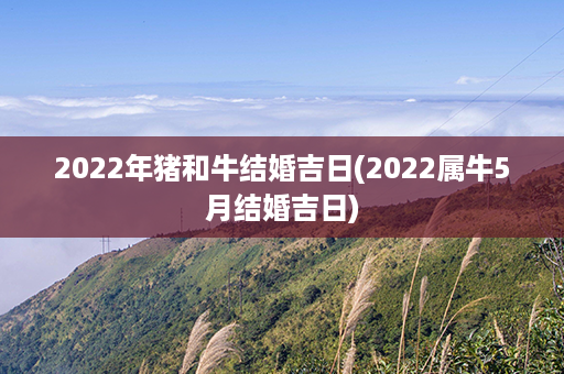 2022年猪和牛结婚吉日(2022属牛5月结婚吉日)第1张-八字查询