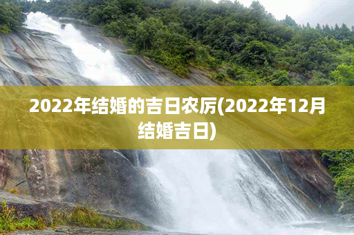 2022年结婚的吉日农厉(2022年12月结婚吉日)第1张-八字查询