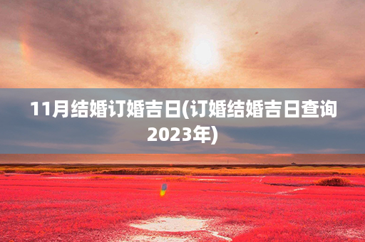 11月结婚订婚吉日(订婚结婚吉日查询2023年)第1张-八字查询