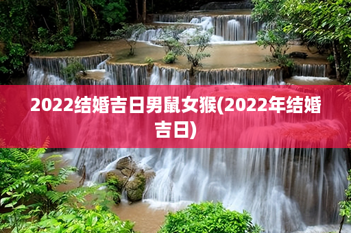 2022结婚吉日男鼠女猴(2022年结婚吉日)第1张-八字查询