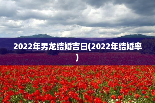 2022年男龙结婚吉日(2022年结婚率)第1张-八字查询