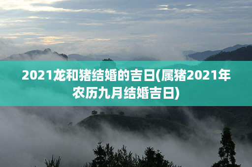 2021龙和猪结婚的吉日(属猪2021年农历九月结婚吉日)第1张-八字查询