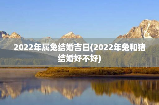 2022年属兔结婚吉日(2022年兔和猪结婚好不好)第1张-八字查询