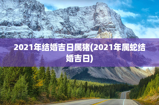 2021年结婚吉日属猪(2021年属蛇结婚吉日)第1张-八字查询