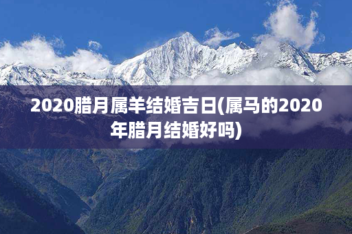 2020腊月属羊结婚吉日(属马的2020年腊月结婚好吗)第1张-八字查询