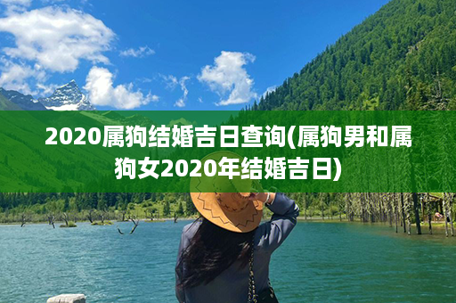 2020属狗结婚吉日查询(属狗男和属狗女2020年结婚吉日)第1张-八字查询