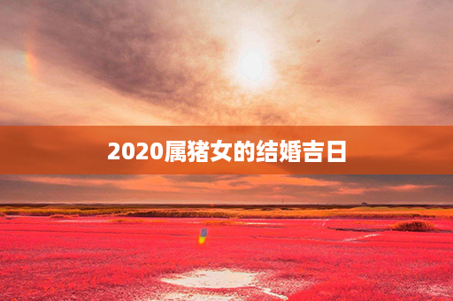 2020属猪女的结婚吉日第1张-八字查询