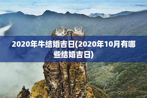 2020年牛结婚吉日(2020年10月有哪些结婚吉日)第1张-八字查询