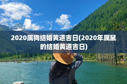 2020属狗结婚黄道吉日(2020年属鼠的结婚黄道吉日)第1张-八字查询