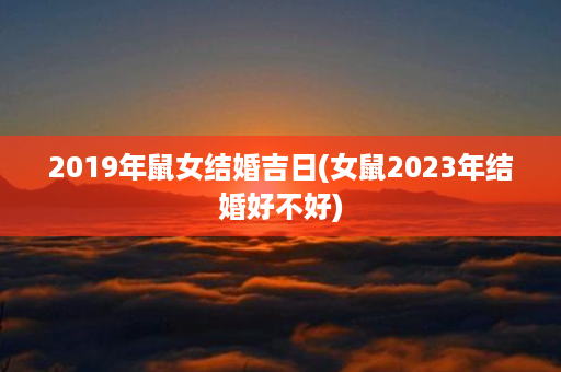 2019年鼠女结婚吉日(女鼠2023年结婚好不好)第1张-八字查询