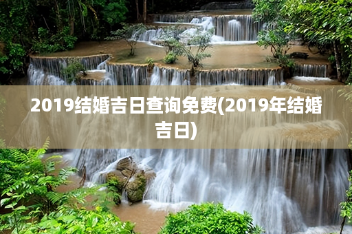 2019结婚吉日查询免费(2019年结婚吉日)第1张-八字查询