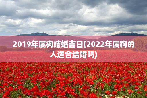 2019年属狗结婚吉日(2022年属狗的人适合结婚吗)第1张-八字查询