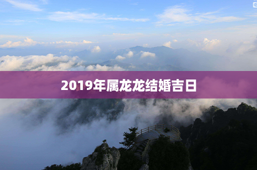 2019年属龙龙结婚吉日第1张-八字查询