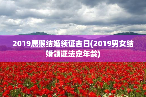 2019属猴结婚领证吉日(2019男女结婚领证法定年龄)第1张-八字查询