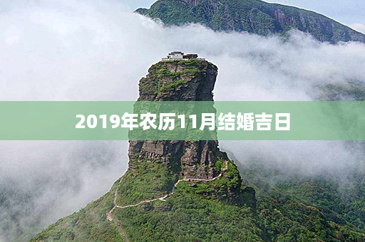 2019年农历11月结婚吉日第1张-八字查询