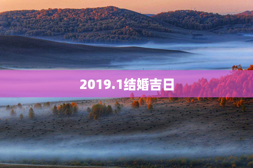 2019.1结婚吉日第1张-八字查询