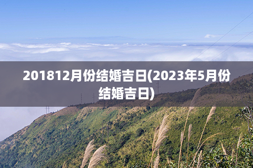 201812月份结婚吉日(2023年5月份结婚吉日)第1张-八字查询