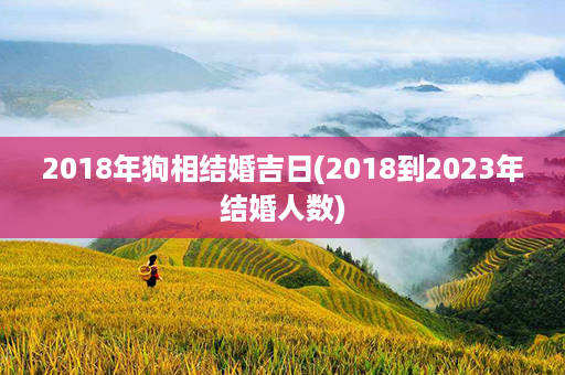 2018年狗相结婚吉日(2018到2023年结婚人数)第1张-八字查询