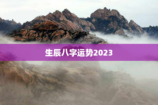 生辰八字运势2023第1张-八字查询