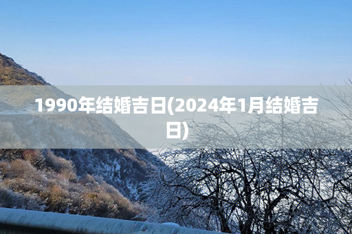 1990年结婚吉日(2024年1月结婚吉日)第1张-八字查询