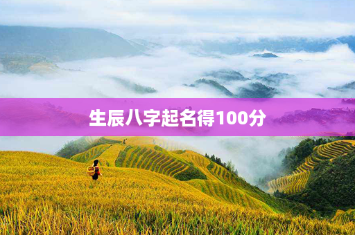 生辰八字起名得100分第1张-八字查询