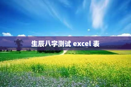 生辰八字测试 excel 表第1张-八字查询