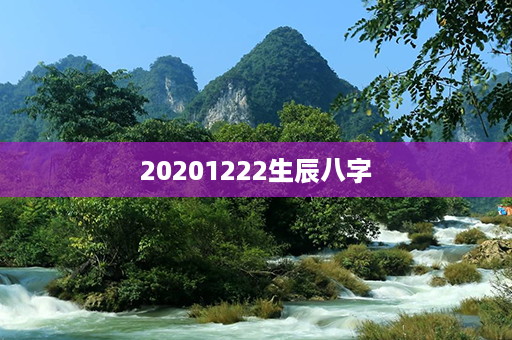 20201222生辰八字第1张-八字查询