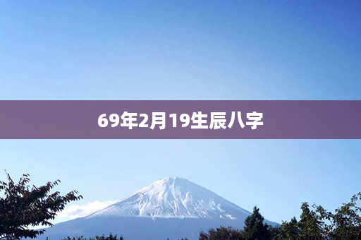 69年2月19生辰八字第1张-八字查询